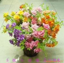 胡艷紅鮮花產品系列 花卉精選指南