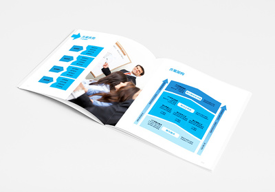 上海IDB企業(yè)管理咨詢宣傳冊(cè)設(shè)計(jì)