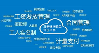 上?；ヂ摼W軟件集團 高端協同管理軟件與企業管理咨詢服務提供商